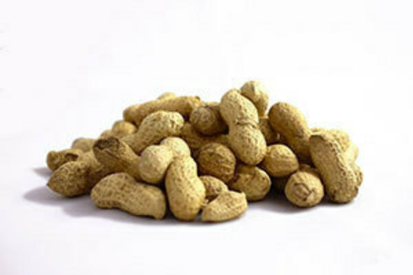 Peanuts on white background.